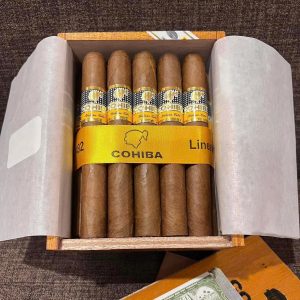 Xì Gà Cohiba Siglo 6 Nhập Khẩu Chính Hãng