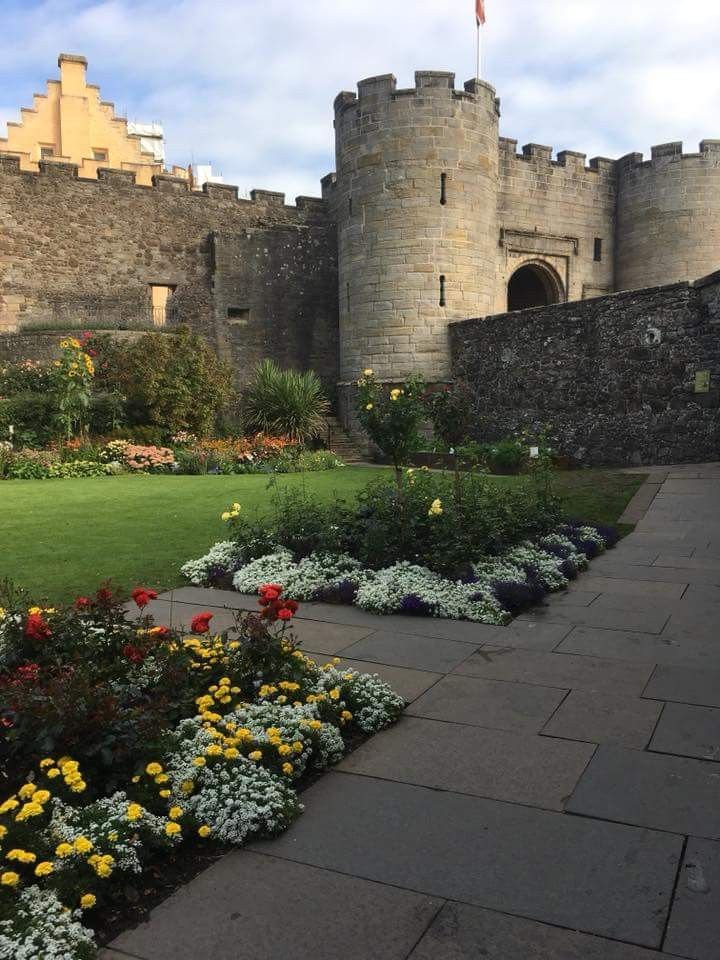 A look at spincastle casino
